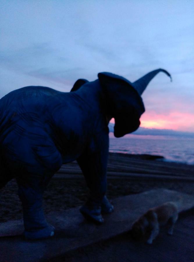 Acapulco III Marina Dor Daire Oropesa del Mar Dış mekan fotoğraf